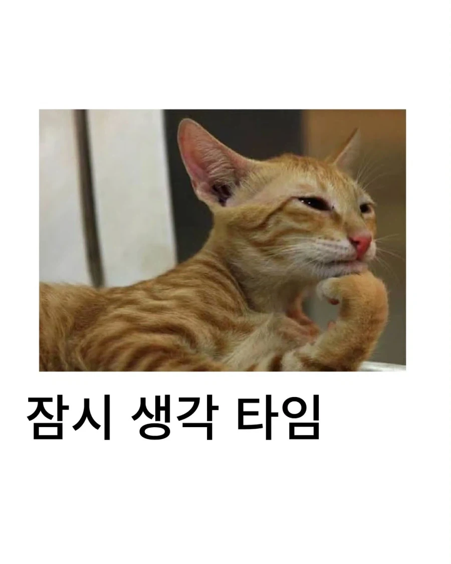 유독 남녀 픽 갈린다는 사진.jpg_2.webp