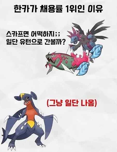 의외로 포켓몬배틀에서 개근하는 포켓몬_1.webp