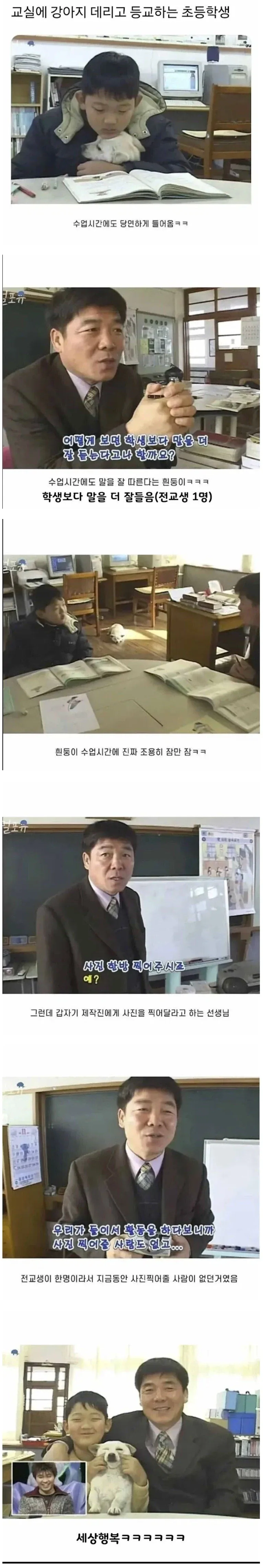 학교에 강아지 데리고 등교하는 초등학생.jpg_1.webp