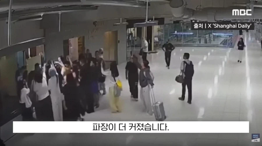 개판들 끼리의 대환장쇼_14.webp