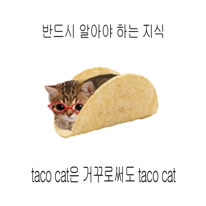 반드시 알아야 하는 지식_1.webp