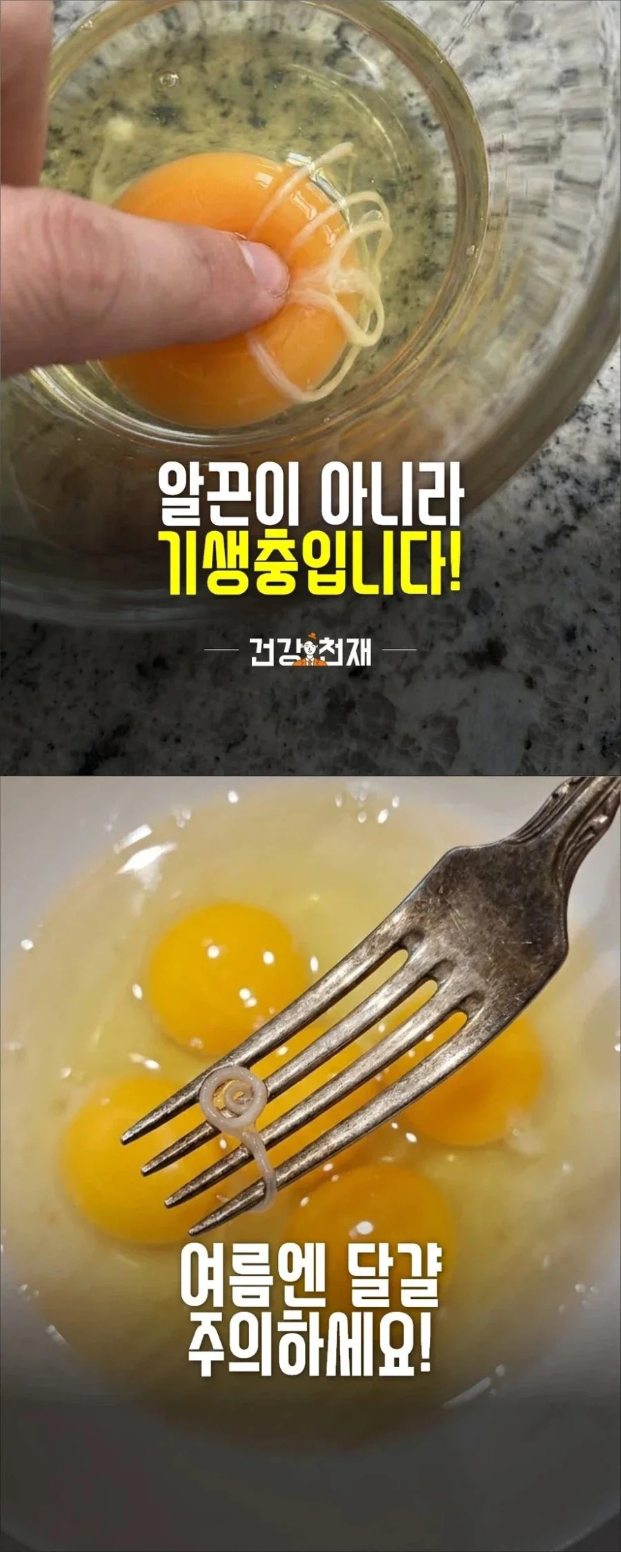 계란에서 이걸 발견한다면_1.webp