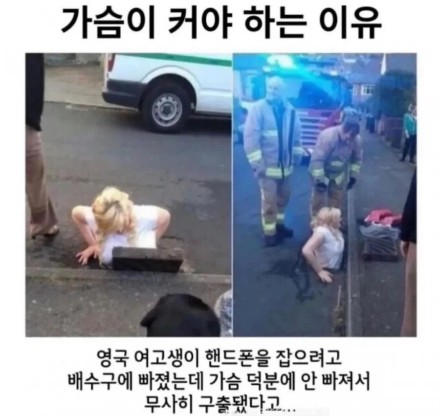 모닝글거유_1.webp