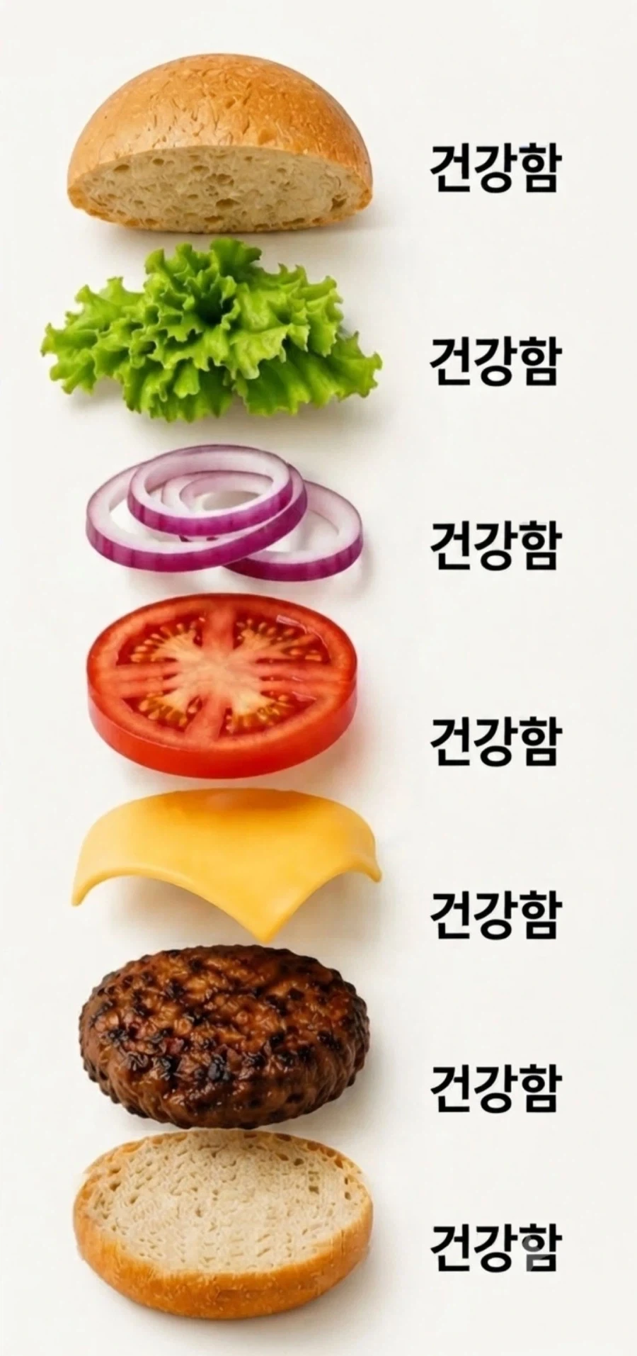 햄버거의 미스테리_1.webp