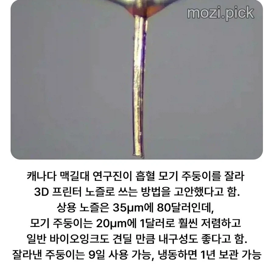 모기를 활용하기 시작한 인류.jpg_1.webp