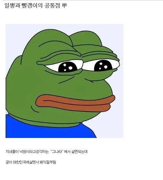 일뽕과 빨갱이의 공통짐_1.webp