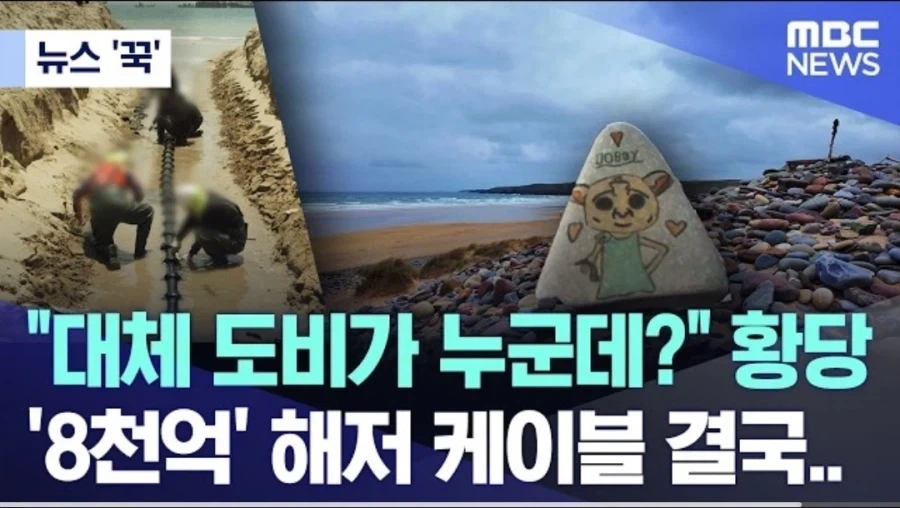 도비 무덤 훼손 막아낸 팬들.jpg_1.webp