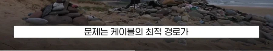 도비 무덤 훼손 막아낸 팬들.jpg_10.webp
