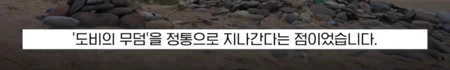 도비 무덤 훼손 막아낸 팬들.jpg_11.webp
