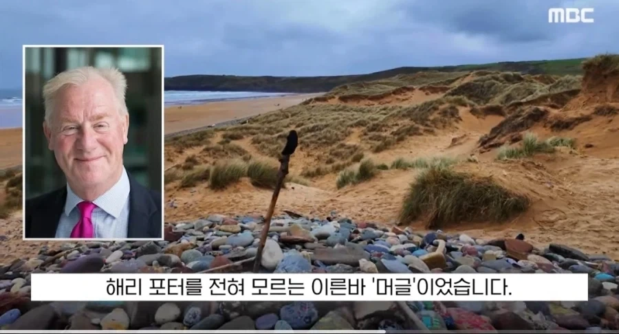 도비 무덤 훼손 막아낸 팬들.jpg_15.webp