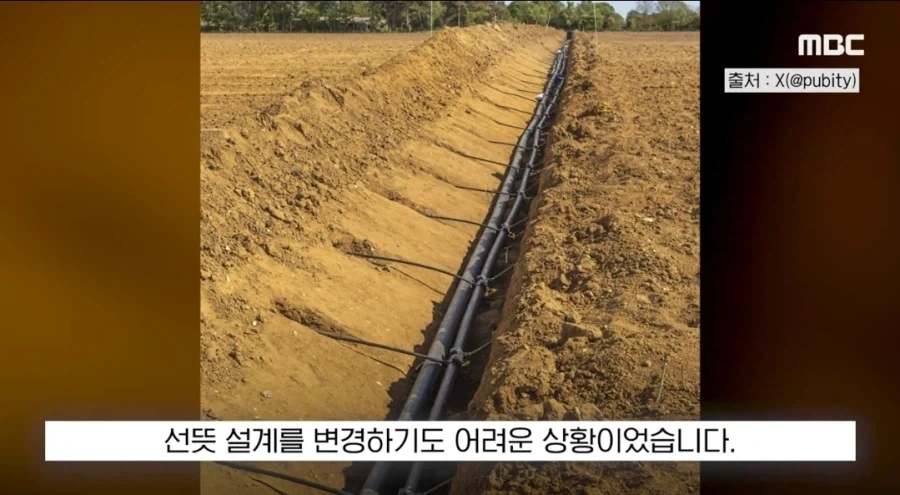 도비 무덤 훼손 막아낸 팬들.jpg_20.webp