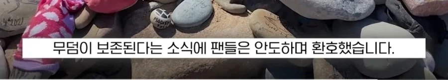도비 무덤 훼손 막아낸 팬들.jpg_24.webp