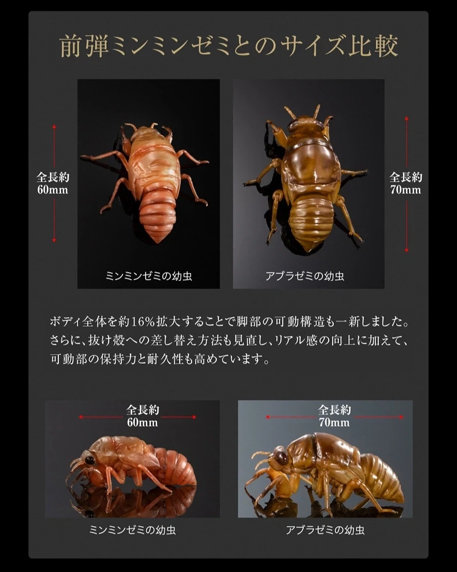 [반다이 가샤폰] 생물대도감 어드밴스 세미(매미) 02_11.webp