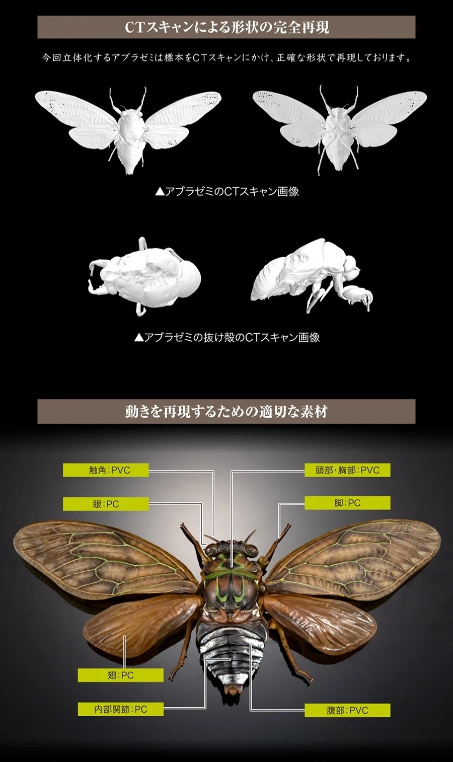 [반다이 가샤폰] 생물대도감 어드밴스 세미(매미) 02_13.webp