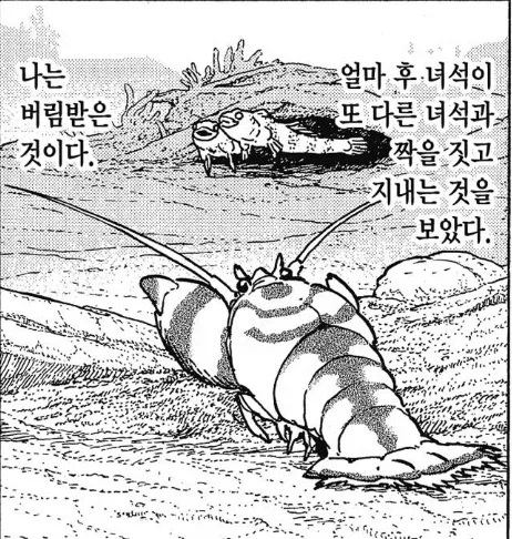 인간이길 포기하고 바닷가재 삶을 택한 주인공.jpg_5.webp