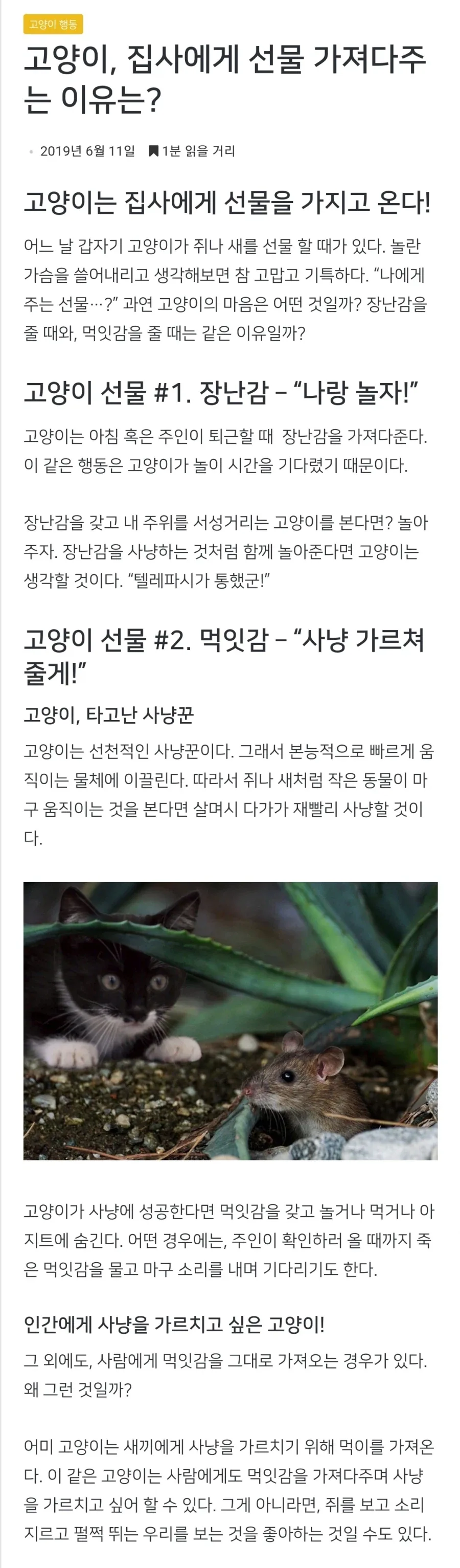 고양이가 죽은쥐를 주인에게 주는 이유.jpg_1.webp