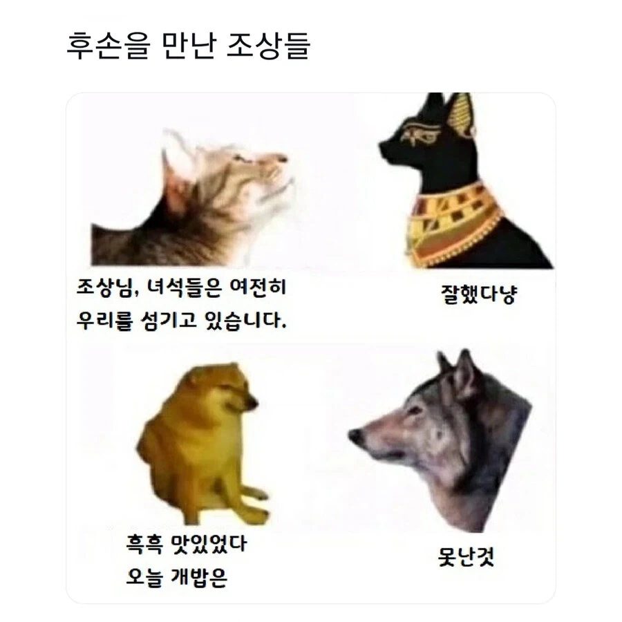 후손을 만난 조상_2.webp