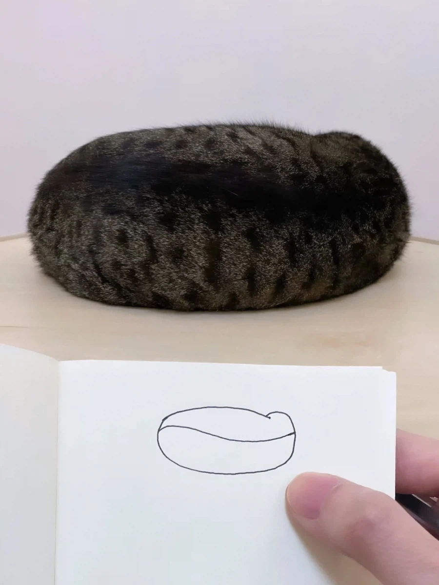 고양이 그려본 집사..._1.webp