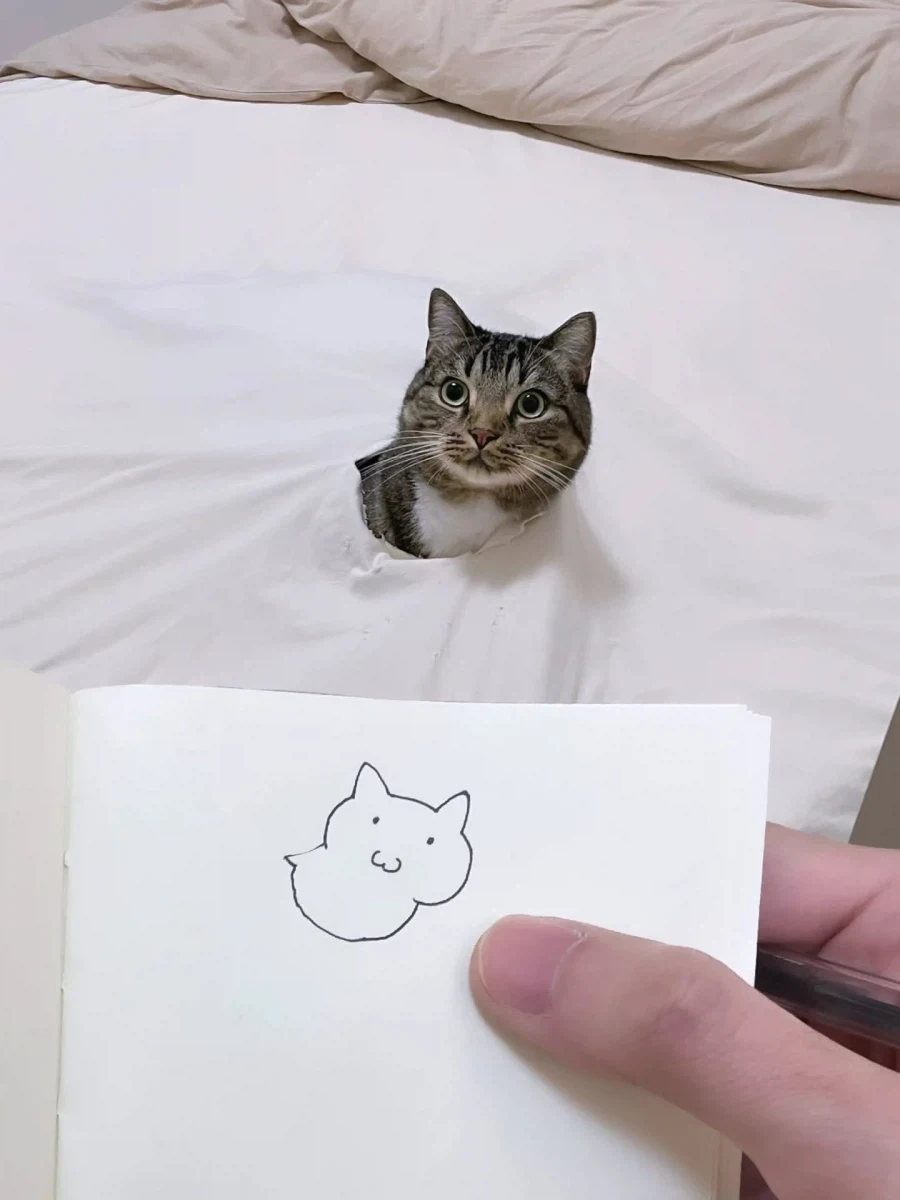 고양이 그려본 집사..._2.webp