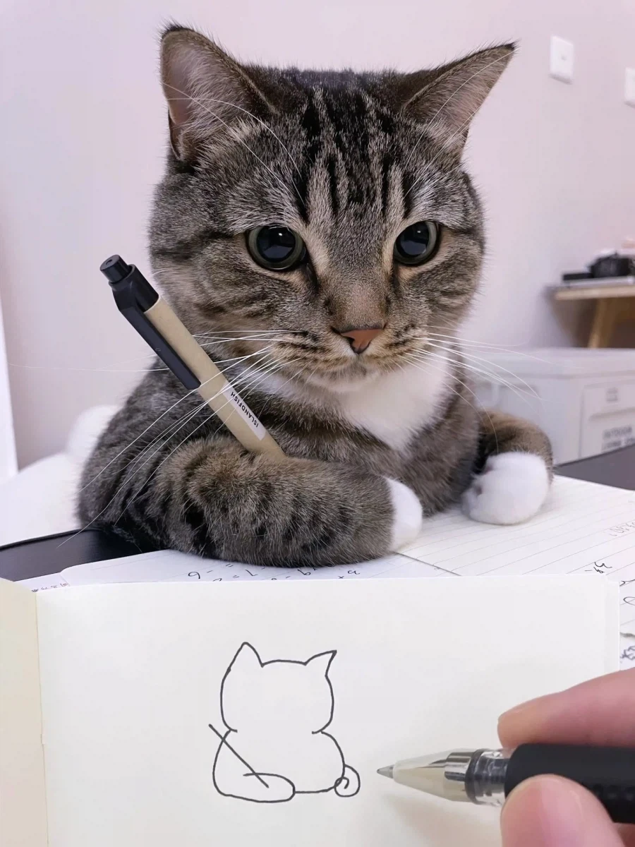 고양이 그려본 집사..._5.webp