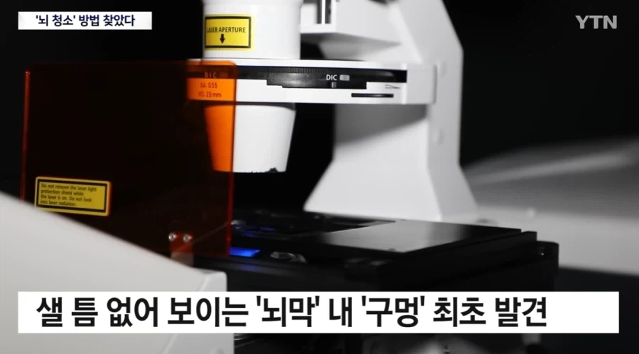 뇌) 뇌의 하수구 구멍이 코였다는데?_1.webp