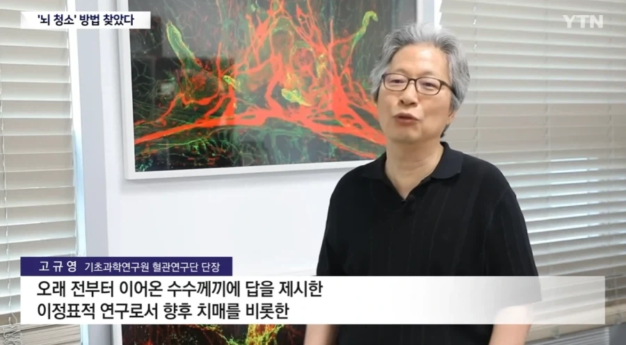 뇌) 뇌의 하수구 구멍이 코였다는데?_5.webp