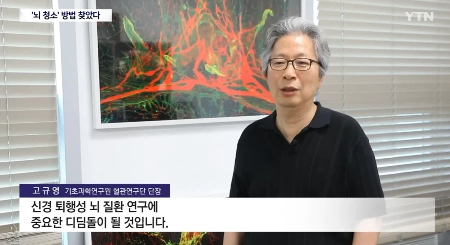 뇌) 뇌의 하수구 구멍이 코였다는데?_6.webp