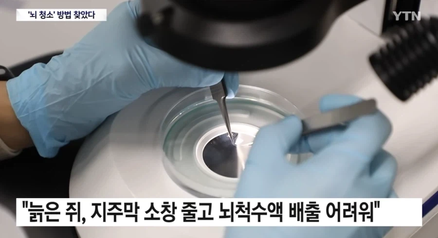 뇌) 뇌의 하수구 구멍이 코였다는데?_7.webp
