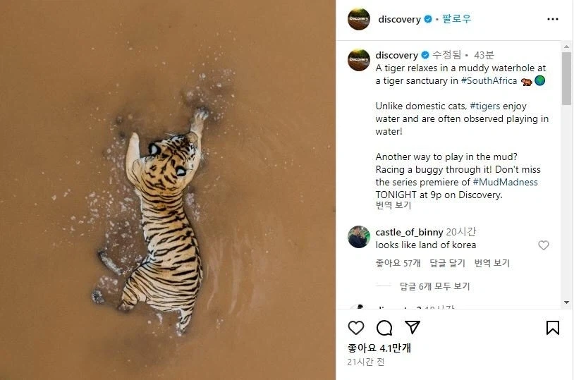 대한민국을 호랑이라고 하는 이유_1.webp