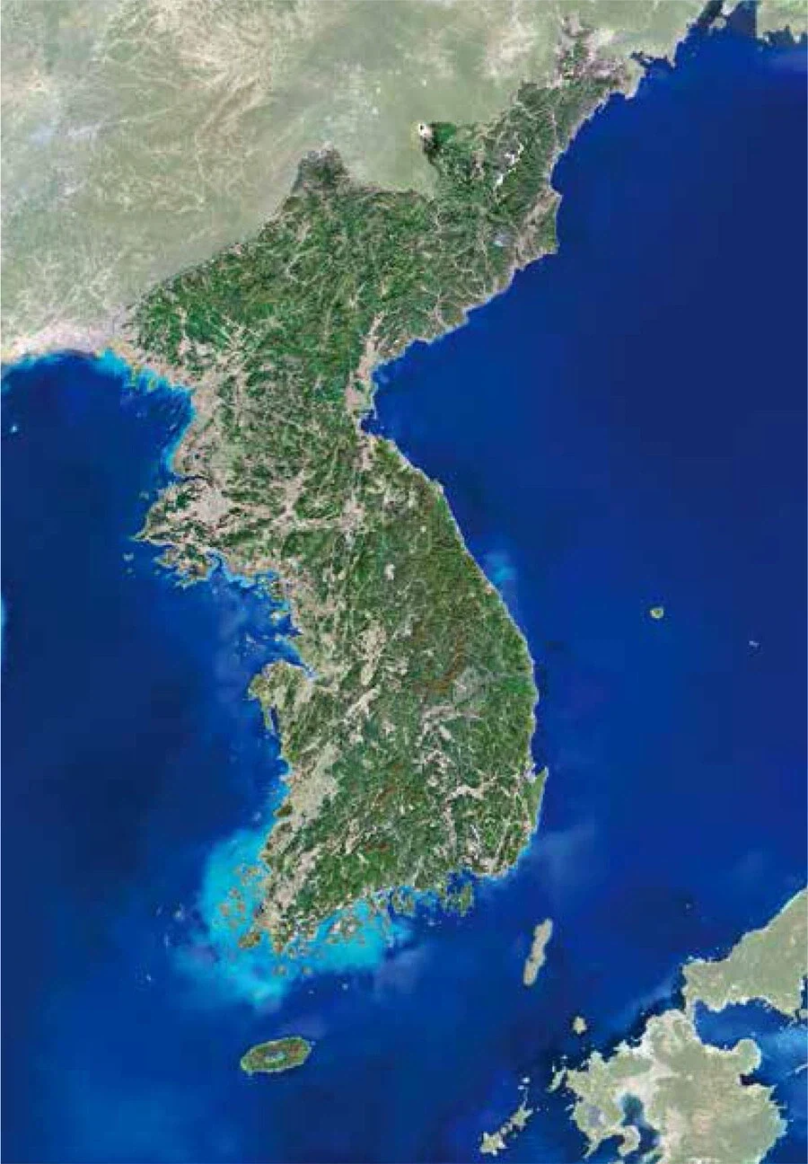 대한민국을 호랑이라고 하는 이유_3.webp
