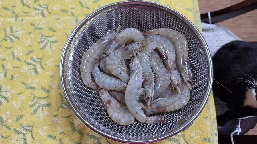 야옹이랑 술한잔 함_2.webp
