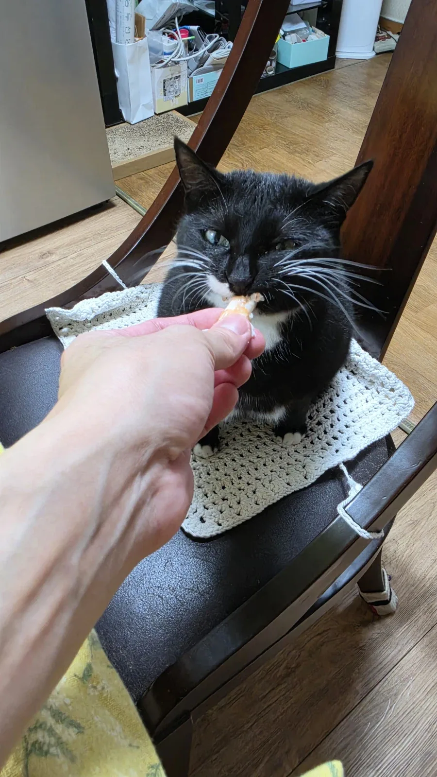 야옹이랑 술한잔 함_12.webp