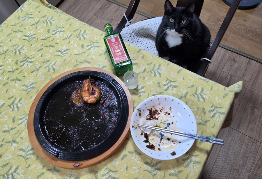 야옹이랑 술한잔 함_13.webp