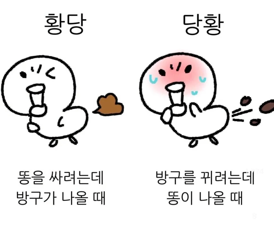황당과 당황_1.webp