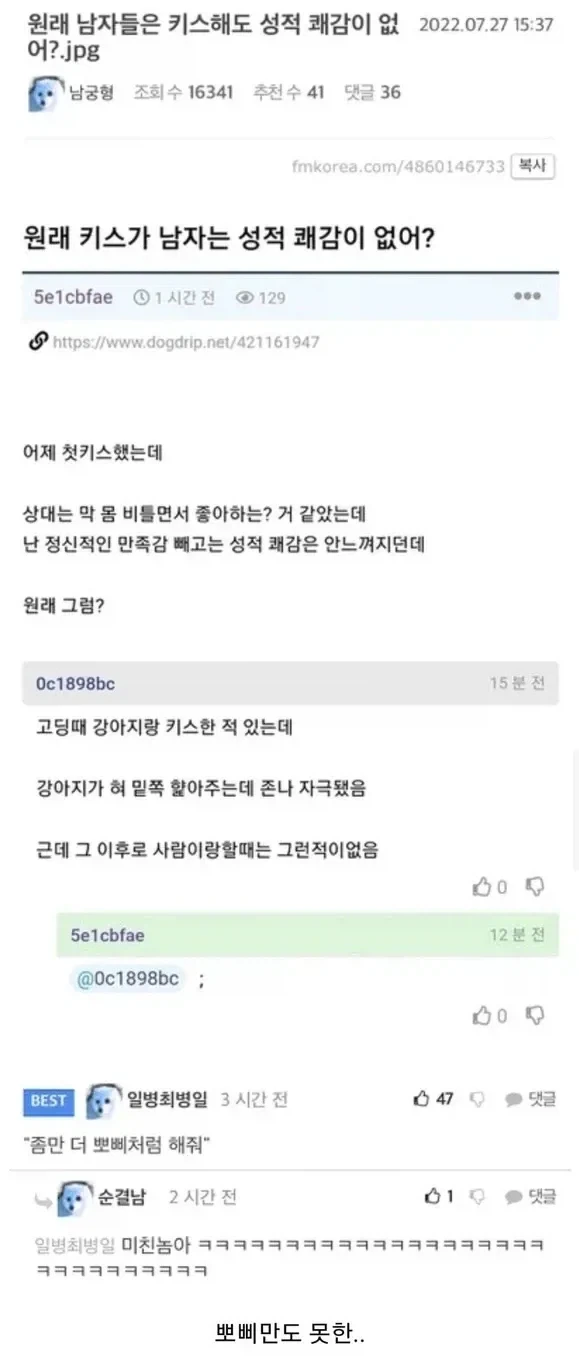 우리집 뽀삐만도 못한 실력이구나_1.webp