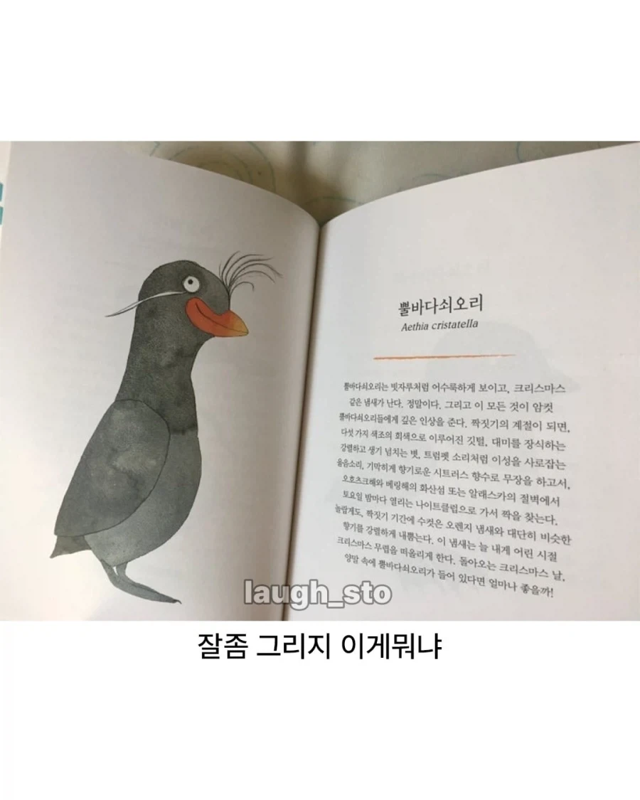 새 그림 진짜 못 그리네_2.webp
