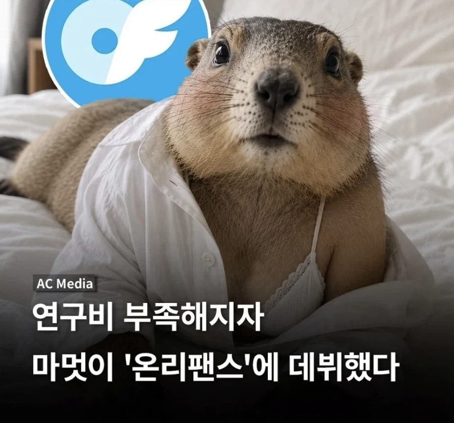 이세상은 미쳤어_1.webp