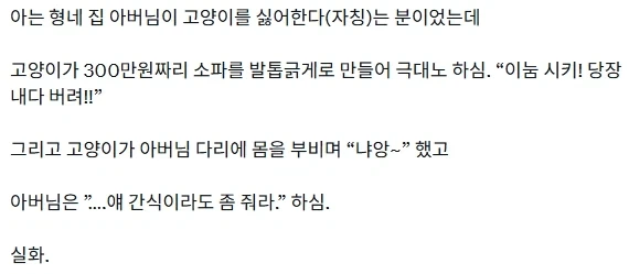 야옹 한마디로 300만원 빚을 갚는다_1.webp