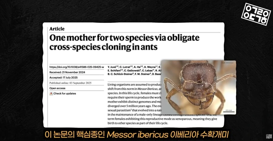 다른 종을 만들도록 진화하고있는 현대 개미 사회_4.png