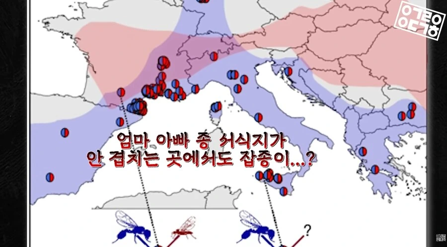 다른 종을 만들도록 진화하고있는 현대 개미 사회_14.png