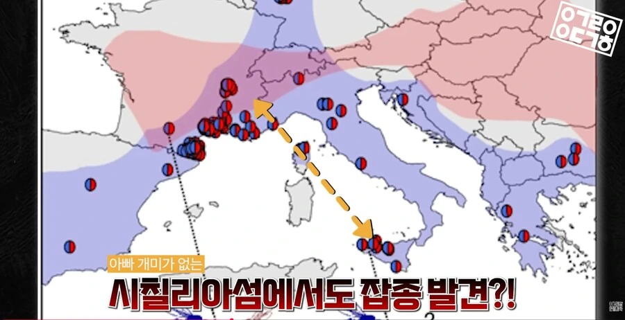 다른 종을 만들도록 진화하고있는 현대 개미 사회_15.png