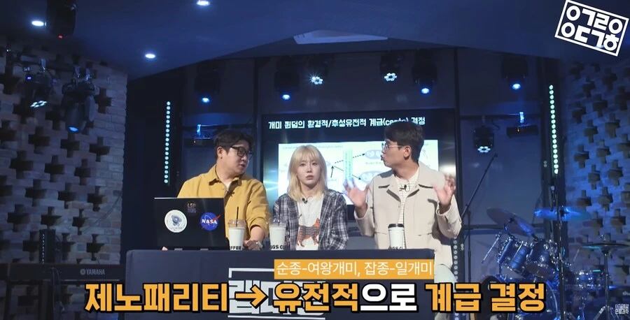 다른 종을 만들도록 진화하고있는 현대 개미 사회_20.png