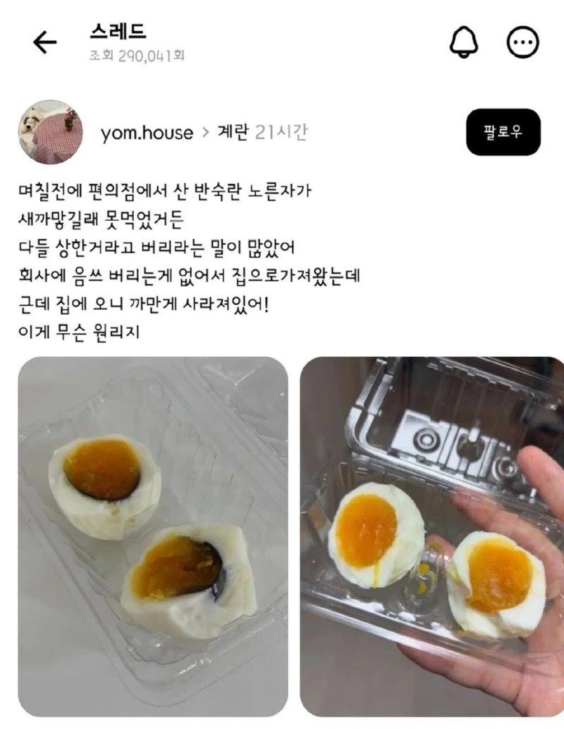 회사 알러지 있는 계란_1.webp