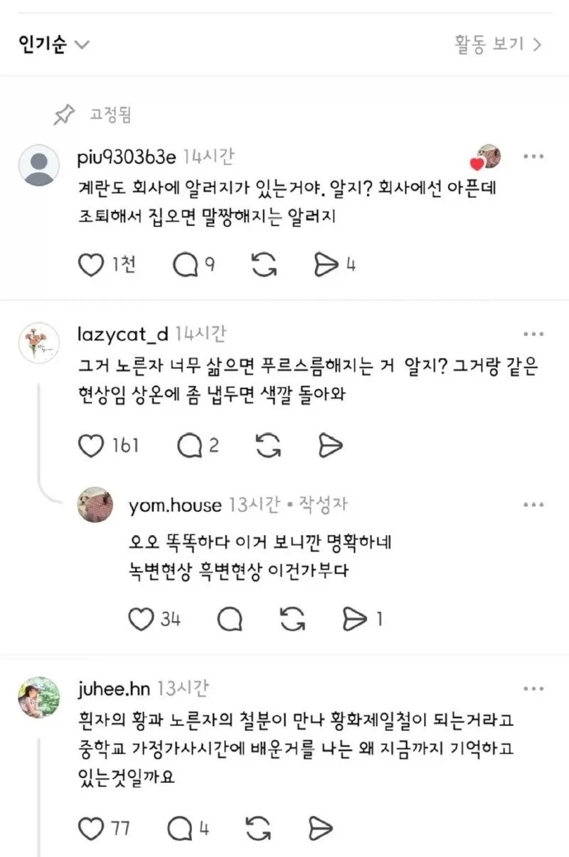 회사 알러지 있는 계란_2.webp