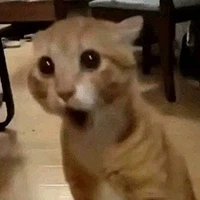주식으로 돈 번사람한테 부기사달라고 하는거면_1.webp