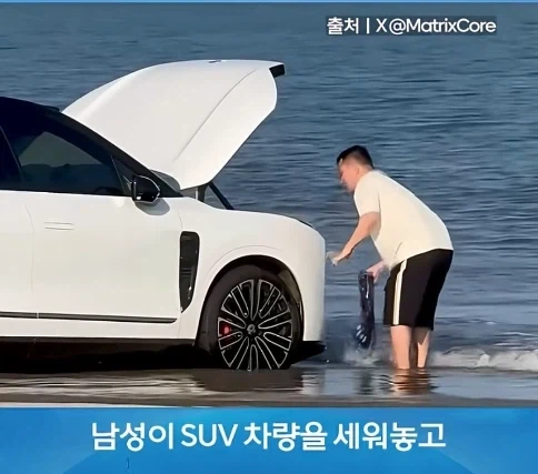 무식한데 부지런하면 생기는 일_2.webp
