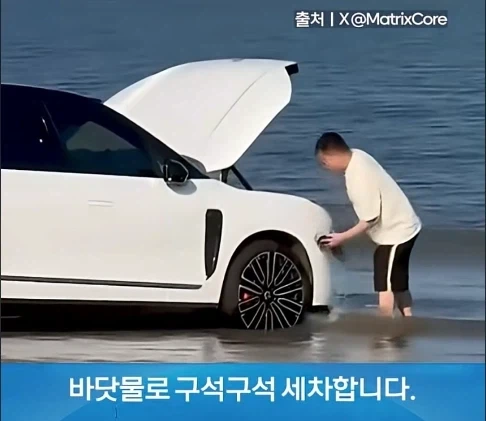 무식한데 부지런하면 생기는 일_3.webp