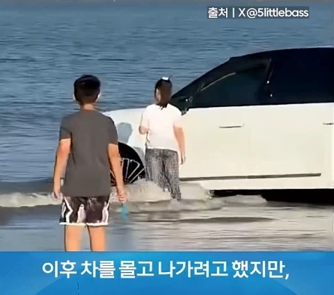 무식한데 부지런하면 생기는 일_6.webp