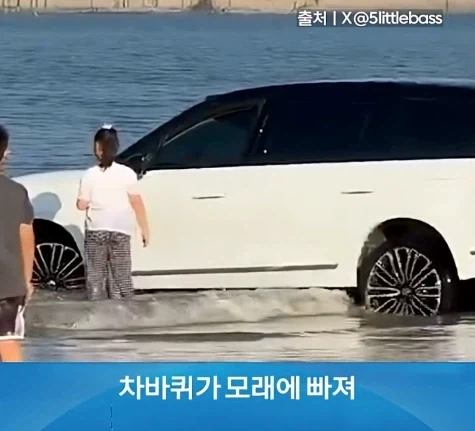무식한데 부지런하면 생기는 일_7.webp