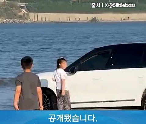 무식한데 부지런하면 생기는 일_9.webp